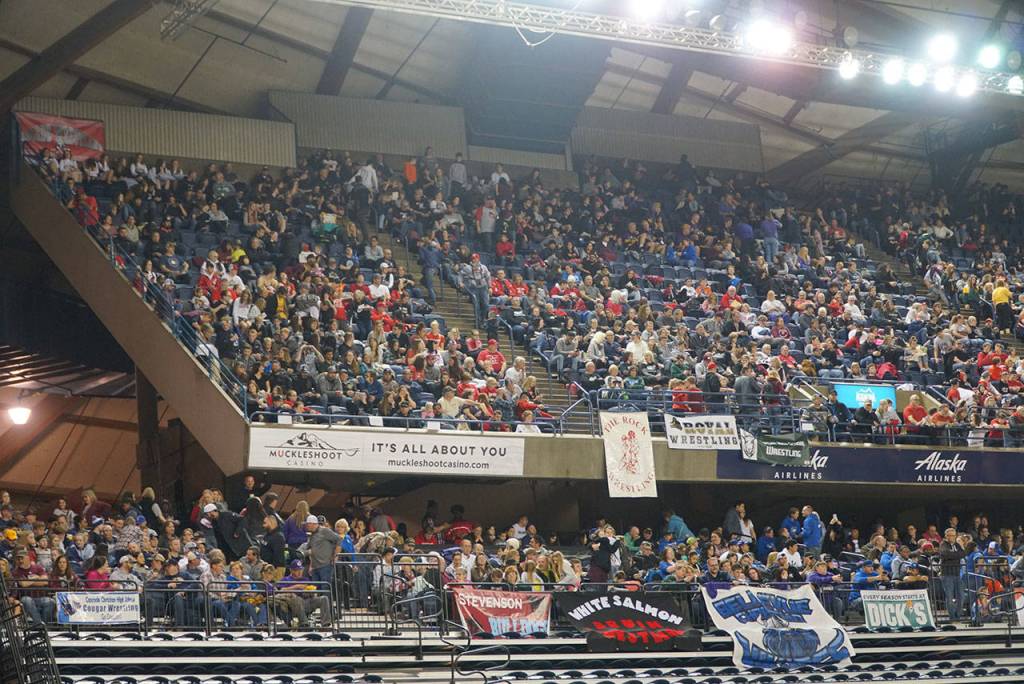 Mat moments: Scenes from the 2019 state wrestling tourney - Part 1 | Photo gallery