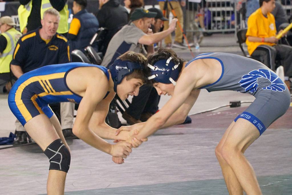 More mat moments: Scenes from the 2019 state wrestling tourney - Part 2 | Photo gallery