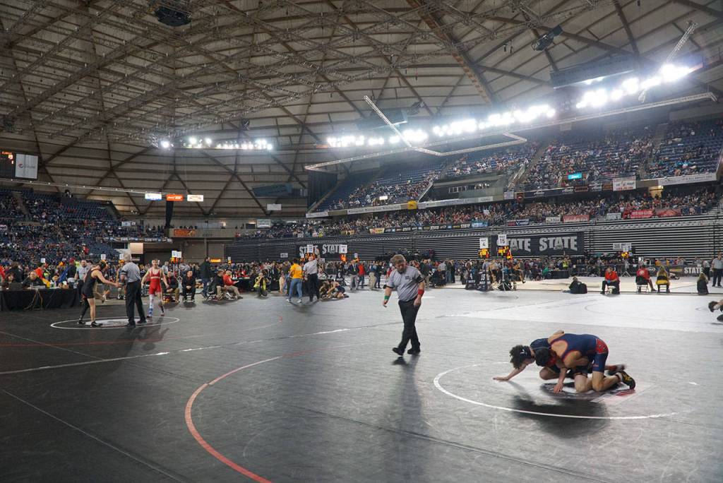 More mat moments: Scenes from the 2019 state wrestling tourney - Part 2 | Photo gallery