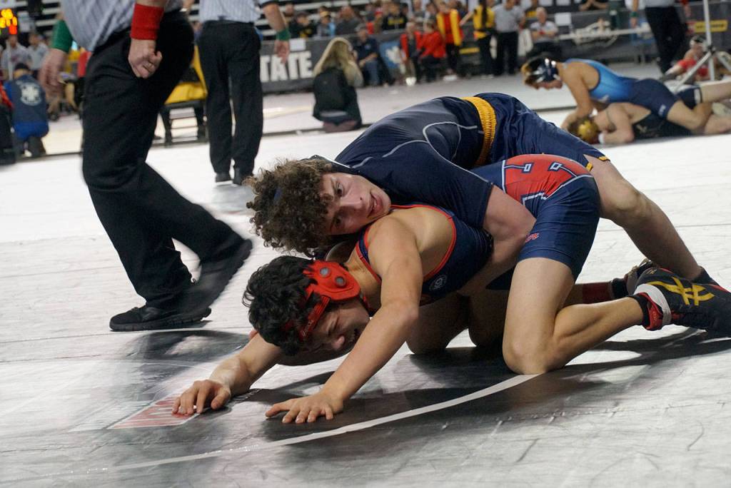 More mat moments: Scenes from the 2019 state wrestling tourney - Part 2 | Photo gallery