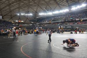 More mat moments: Scenes from the 2019 state wrestling tourney - Part 2 | Photo gallery