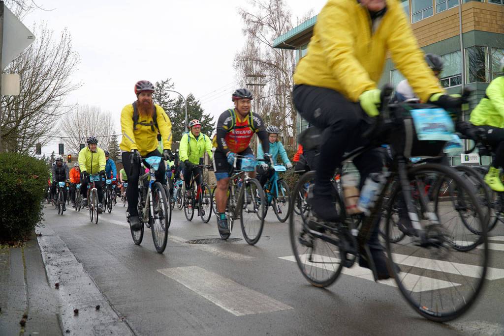Chilly Hilly retakes island streets to start cycling season | Photo gallery