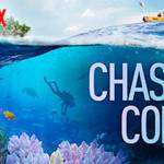 ‘Chasing Coral’ to be screened at the Bainbridge Public Library