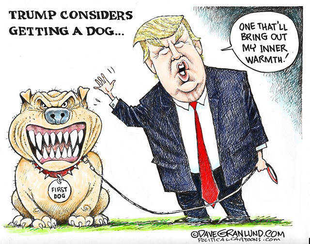 Trump’s 108th week in office | In cartoons