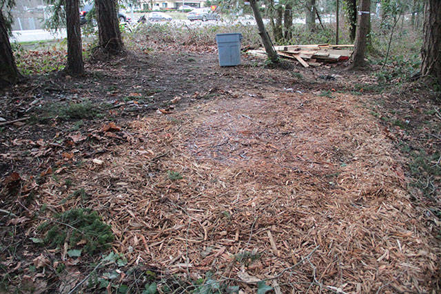 Going, going, gone: Bainbridge police clean up remains of homeless camp | Photo gallery