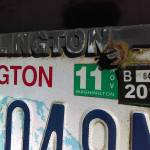 Luciano Marano | Bainbridge Island Review