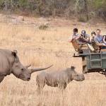 Five years, two continents, one mission: BHS’ Lengau program gives students a taste of the wild