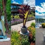 Bainbridge city council expands public art program