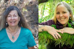 Nature authors host discussion at Winslow shop