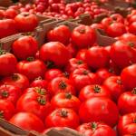 Farmers market returns to Winslow Town Square