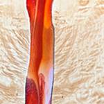 Island Gallery presents ‘Spring Forward’ show