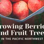 Master gardener debuts how-to fruit tree tome