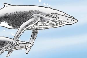 Today’s cartoon for Saturday, April 27