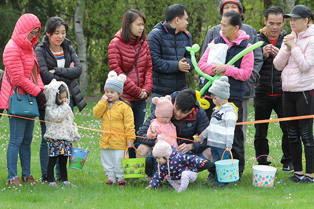 One for the bunny, two for the show, three to get ready… | Photo gallery