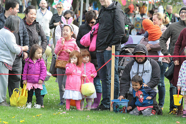 One for the bunny, two for the show, three to get ready… | Photo gallery