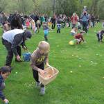 One for the bunny, two for the show, three to get ready… | Photo gallery