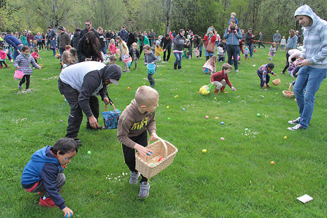 One for the bunny, two for the show, three to get ready… | Photo gallery