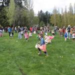 One for the bunny, two for the show, three to get ready… | Photo gallery