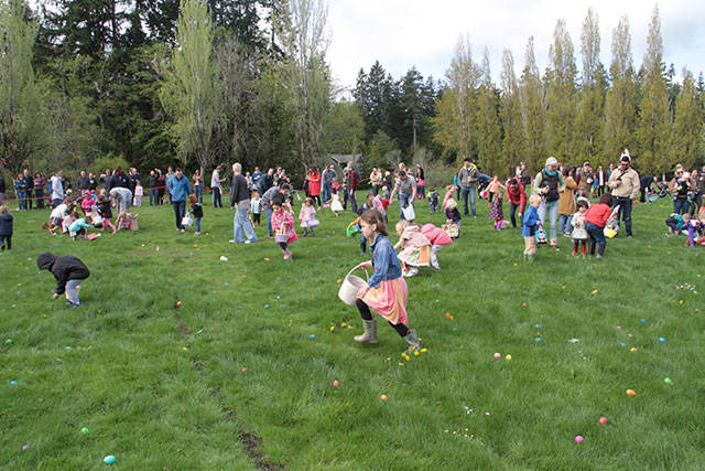 One for the bunny, two for the show, three to get ready… | Photo gallery