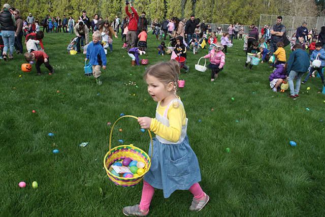 One for the bunny, two for the show, three to get ready… | Photo gallery