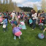 One for the bunny, two for the show, three to get ready… | Photo gallery