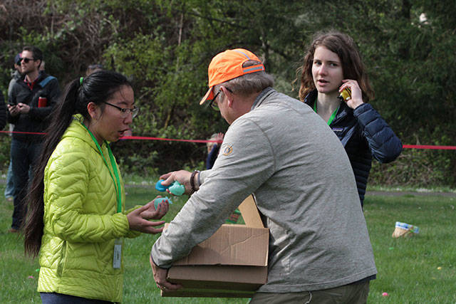 One for the bunny, two for the show, three to get ready… | Photo gallery