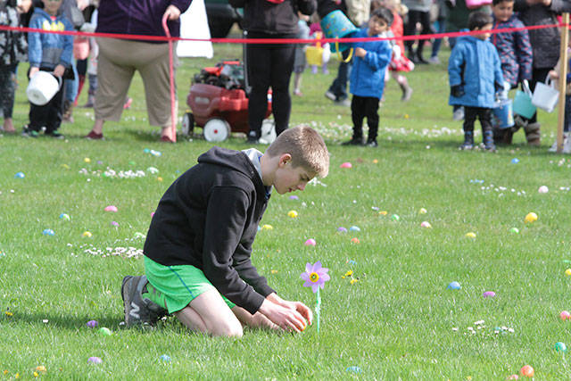 One for the bunny, two for the show, three to get ready… | Photo gallery