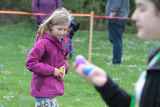 One for the bunny, two for the show, three to get ready… | Photo gallery