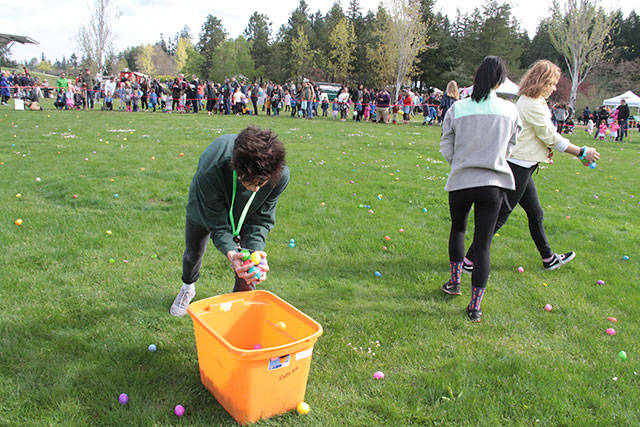 One for the bunny, two for the show, three to get ready… | Photo gallery