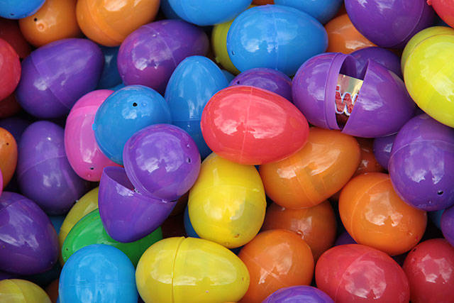 One for the bunny, two for the show, three to get ready… | Photo gallery