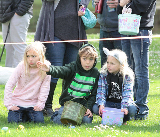 One for the bunny, two for the show, three to get ready… | Photo gallery