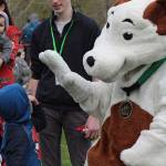 One for the bunny, two for the show, three to get ready… | Photo gallery