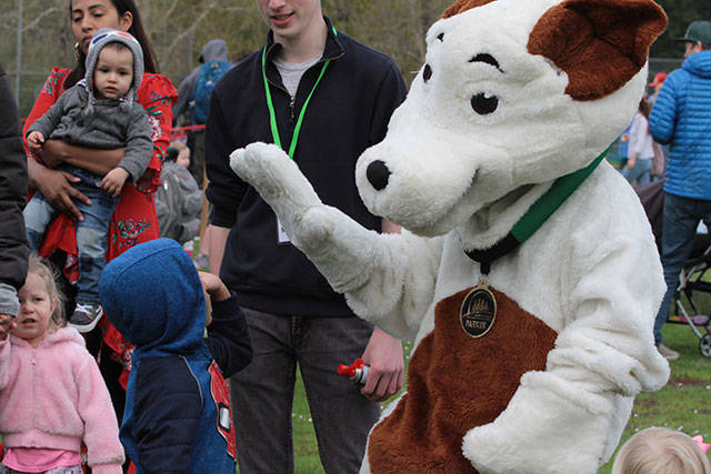 One for the bunny, two for the show, three to get ready… | Photo gallery