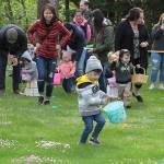 One for the bunny, two for the show, three to get ready… | Photo gallery