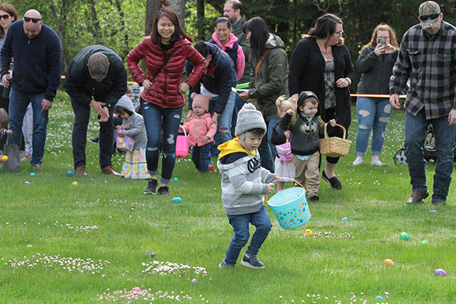 One for the bunny, two for the show, three to get ready… | Photo gallery