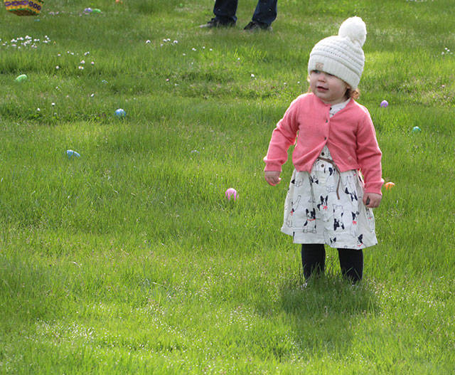 One for the bunny, two for the show, three to get ready… | Photo gallery