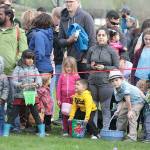 One for the bunny, two for the show, three to get ready… | Photo gallery