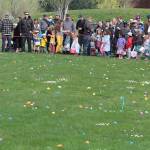 One for the bunny, two for the show, three to get ready… | Photo gallery