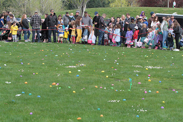 One for the bunny, two for the show, three to get ready… | Photo gallery