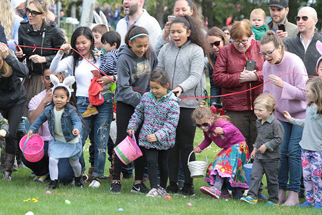 One for the bunny, two for the show, three to get ready… | Photo gallery