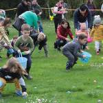 One for the bunny, two for the show, three to get ready… | Photo gallery