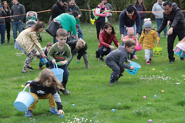 One for the bunny, two for the show, three to get ready… | Photo gallery