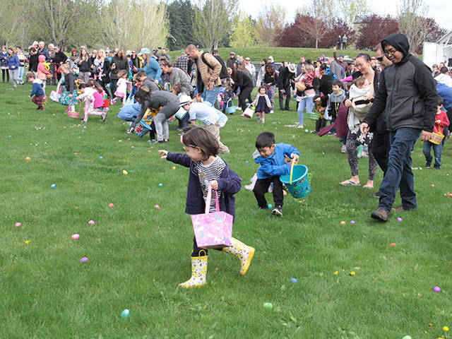 One for the bunny, two for the show, three to get ready… | Photo gallery