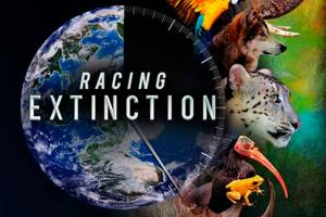 Next film in series explores mass extinction