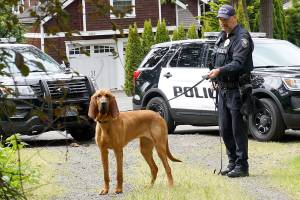 Dog days are here again: BIPD’s new K-9 set for swearing in ceremony