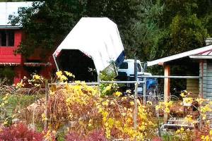 Wood chip investigation cost city $7,250