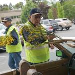 Quirky, secretive Scotch broom parade returns to Winslow | Photo gallery