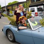 Quirky, secretive Scotch broom parade returns to Winslow | Photo gallery