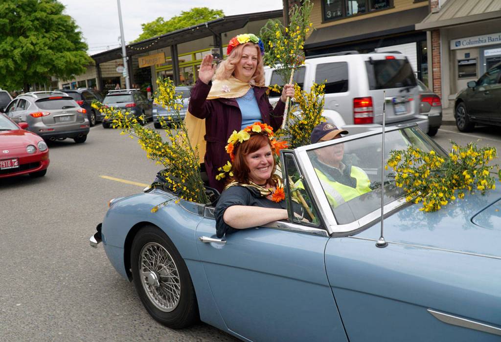 Quirky, secretive Scotch broom parade returns to Winslow | Photo gallery