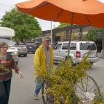 Quirky, secretive Scotch broom parade returns to Winslow | Photo gallery